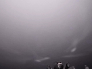 Inked amateur brazilian slut anal fucked