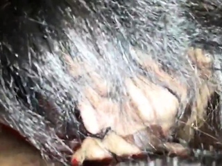 Tia descabelada chupando o pau pequeno 2