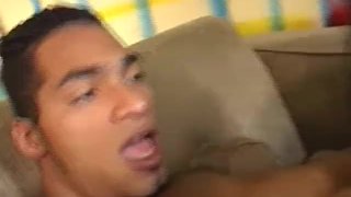 THE NEW TGIRL 2 – Scene 5